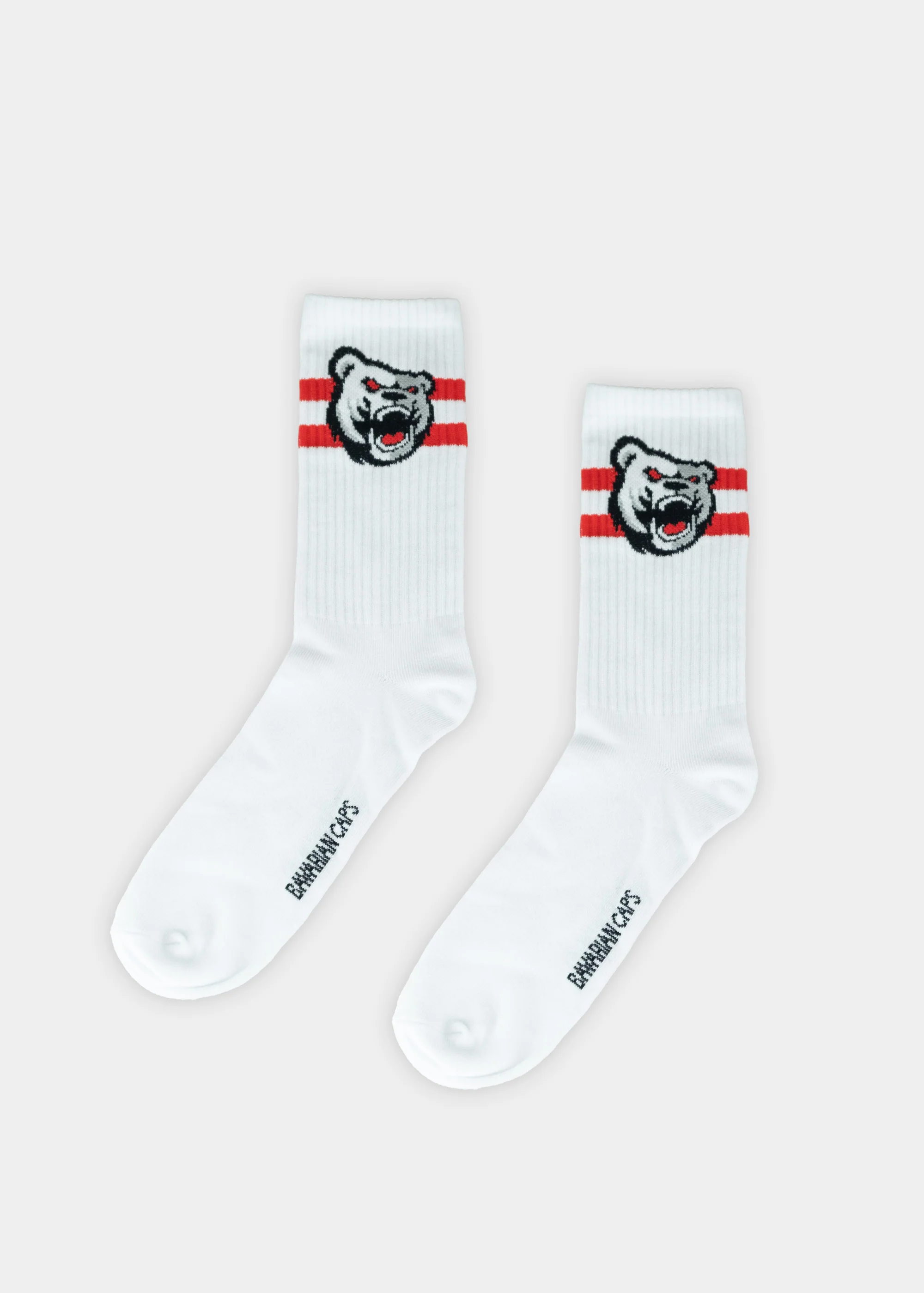 Sockenbox "Eisbären Regensburg" - Image 3
